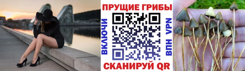 Галлюциногенные грибы GOLDEN TEACHER  Купить закладки  Крым 